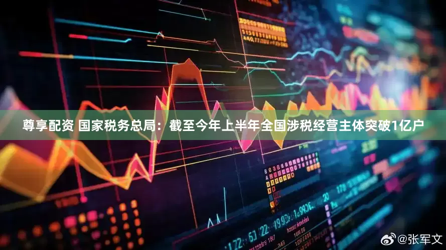 尊享配资 国家税务总局：截至今年上半年全国涉税经营主体突破1亿户